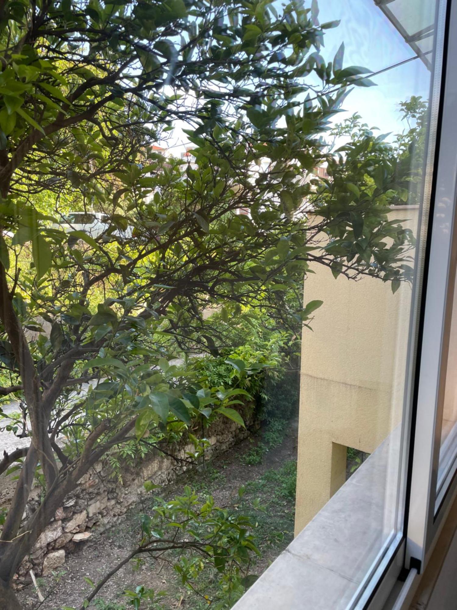 Apartmani Isabella - Ilda Radonic Єлса Екстер'єр фото